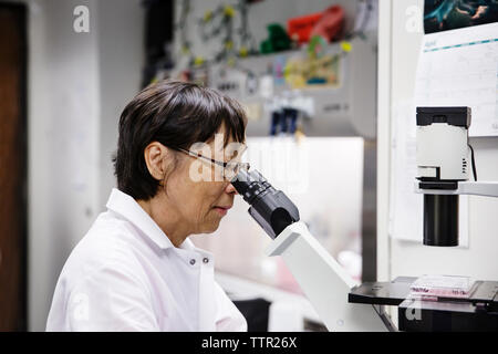 Side view of senior female scientist using microscope Stock Photo