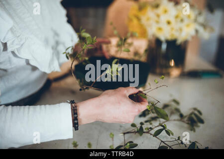 Cropped image of florist arranging plant stems on floral foam at flower shop Stock Photo