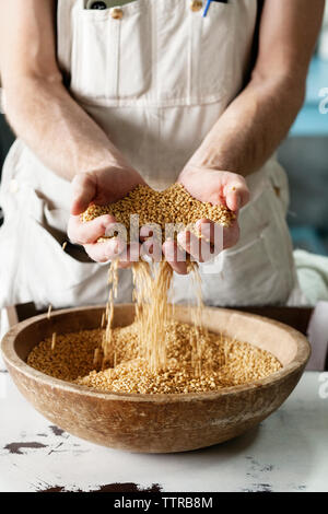 Mid section of farmer holding wheat in cupped hands at farm Stock Photo