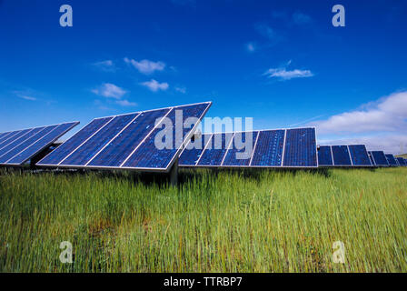 Solar panels on grassy field against blue sky Stock Photo