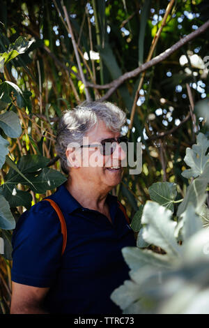 Side view of male hiker wearing sunglasses while standing against trees in forest Stock Photo