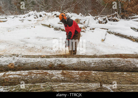 Male lumberjack cutting logs in forest during winter Stock Photo