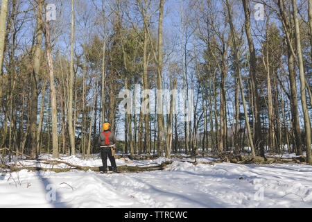 Rear view of lumberjack holding chainsaw while standing in forest during winter Stock Photo