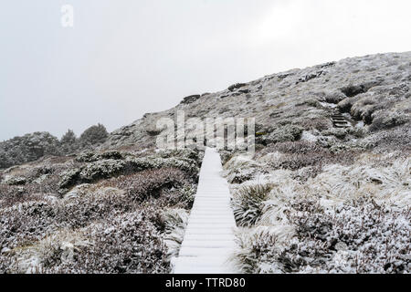 Boardwalk on hill against clear sky at Fiordland National Park Stock Photo