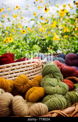 Various balls of wool in wicker basket against plants Stock Photo