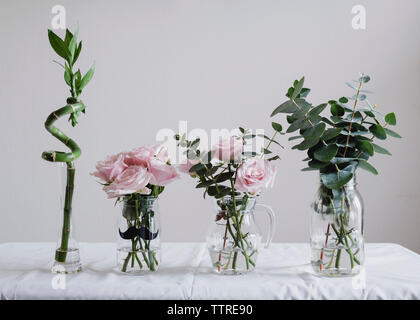 Various plants in glass containers against white wall at home Stock Photo