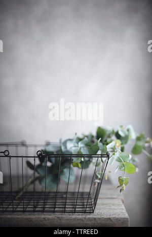 Close-up of leaves in basket on wooden table against wall Stock Photo