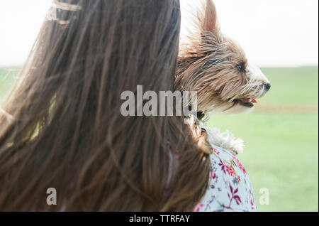 Rear view of teenage girl with Yorkshire Terrier on field during sunny day Stock Photo