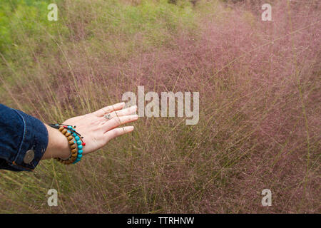 Cropped hand of woman touching on grasses in forest Stock Photo