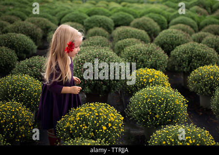 Side view of girl wearing gerbera daisy while standing amidst potted plants Stock Photo