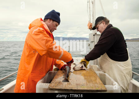 Side view of fishermen cutting fishes on boat at sea Stock Photo