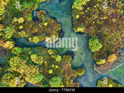 Drone view of river with blue water running between wild lands with green plants in summer Stock Photo