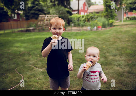 Portrait of brothers eating ice cream cones while standing on grassy field at park Stock Photo