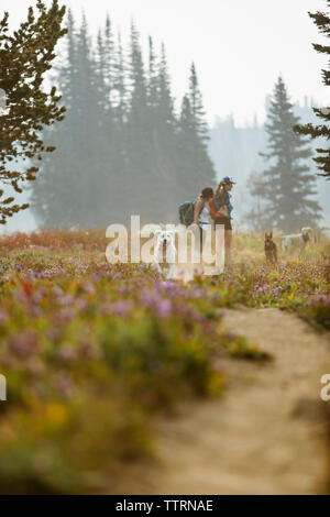 Side view of friends with dogs standing on field in forest Stock Photo