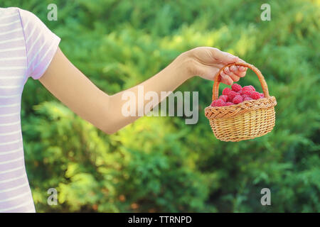 Woman holding wicker basket with fresh raspberries outdoor Stock Photo