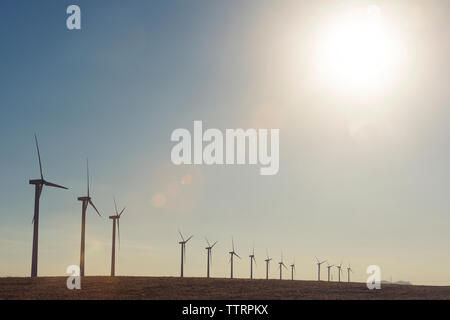 Windmills on field against sky during sunny day Stock Photo