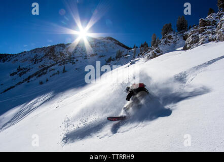 A man rides powder on his snowboard on a sunny day in the Wasatch Stock Photo