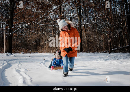 Happy mother pulling children sitting on sled in forest during winter Stock Photo