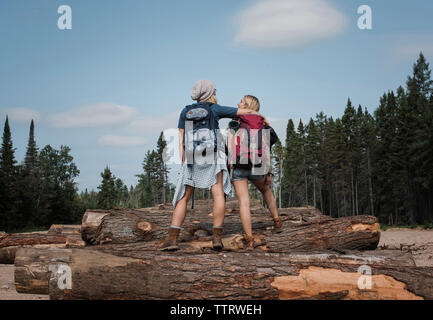 Rear view of female friends with backpacks standing on logs against sky at Algonquin Provincial Park Stock Photo