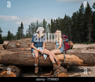 Female friends talking while sitting on logs against sky in forest during sunny day Stock Photo