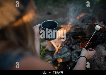 High angle view of woman cooking marshmallow over campfire in forest Stock Photo