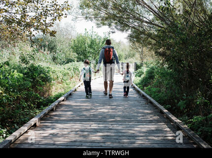 Rear view of father holding children's hands while walking on boardwalk amidst plants in forest Stock Photo