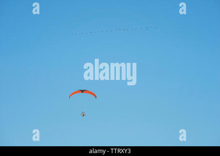 Low angle view of young man motor paragliding against clear blue sky Stock Photo