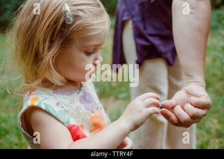Midsection of mother giving berry to daughter standing in forest Stock Photo