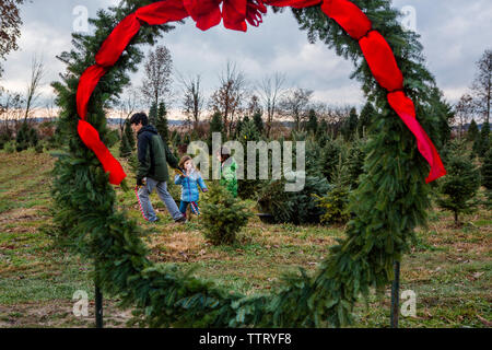 Father with children dragging pine tree in sled against cloudy sky at farm seen through wreath Stock Photo