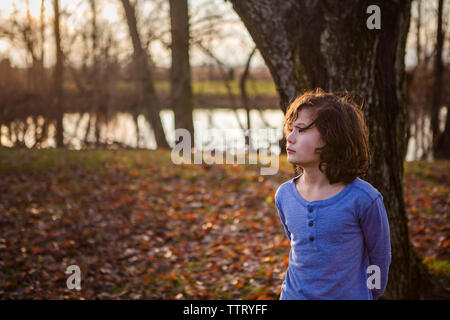 Thoughtful boy looking away while standing against tree trunk in park during autumn at sunset Stock Photo