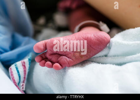 the foot of a newborn baby laying in a hospital with visible id tag Stock Photo