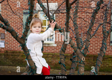 A cute little girl sits in a tree with direct gaze Stock Photo