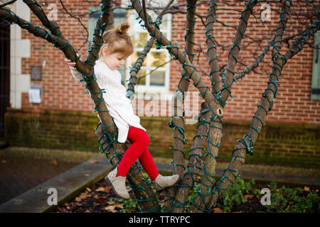 A happy little girl climbs a tree in a park Stock Photo