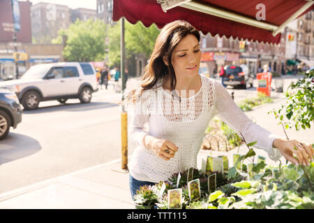 Young woman choosing potted plants at market stall Stock Photo