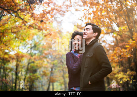 Couple looking away while standing in forest Stock Photo