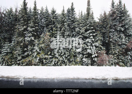 Trees on snow covered field by frozen lake Stock Photo