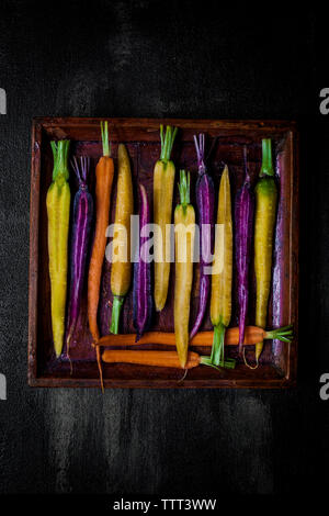 Overhead view of various carrots arranged in tray on table Stock Photo