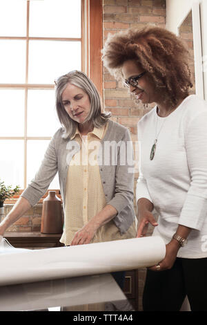 Creative businesswomen examining blueprint in board room Stock Photo