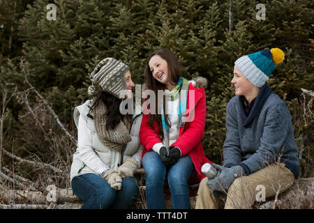 Family talking while sitting on log in forest Stock Photo