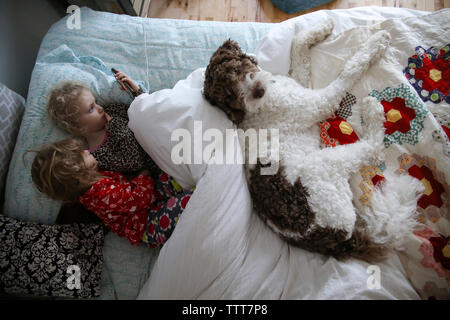 High angle view of sisters using mobile phone while lying with dog on bed Stock Photo