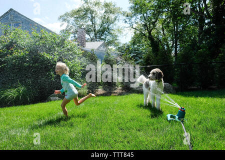 Dog looking at happy girl playing with sprinkler on grassy field in yard Stock Photo