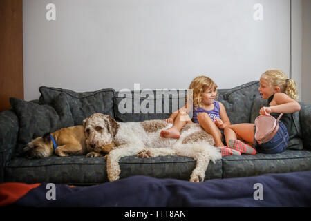 sisters together on couch with two dogs talking and laughing Stock Photo