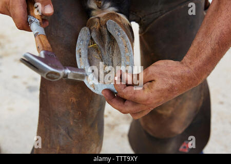 Midsection of man putting shoe on horse Stock Photo