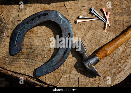 Overhead view of horseshoe with hammer and nails on tree stump Stock Photo