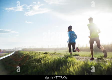 Rear view of athletes running on field during sunset Stock Photo