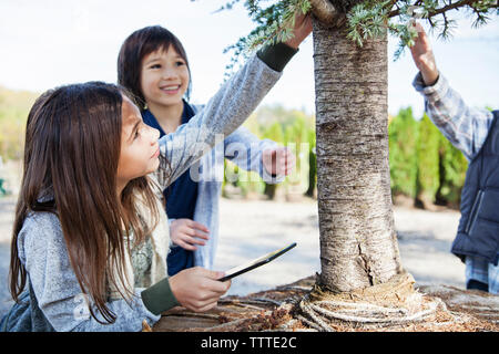 Happy friends examining plant during field trip Stock Photo