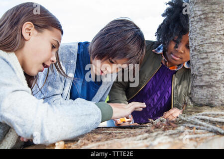 Students examining plant during field trip Stock Photo