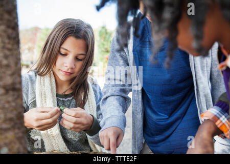 School children examining plant during field trip Stock Photo