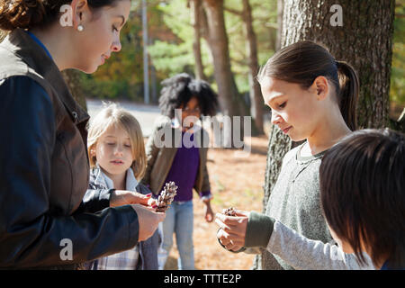 Teacher and students examining pine cones during field trip Stock Photo