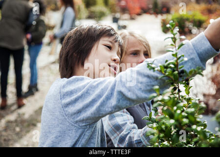 Curious boys examining plants during field trip Stock Photo